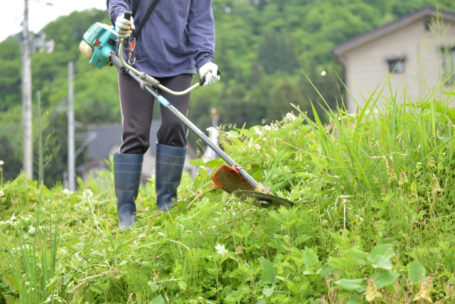 時津町で草刈りに最適な年3回の時期～楽に草刈りを終えるコツまで徹底解説