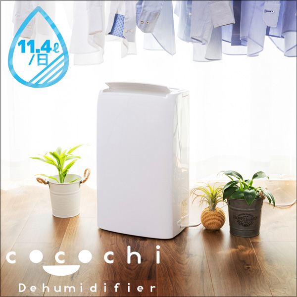 【限定3名様】雨季の強い味方!コンプレッサー式 パワフル除湿機片付け