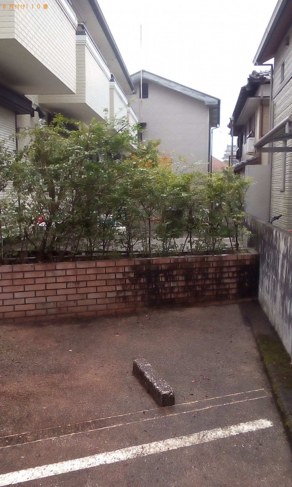 【島原市】木の剪定作業ご依頼　お客様の声