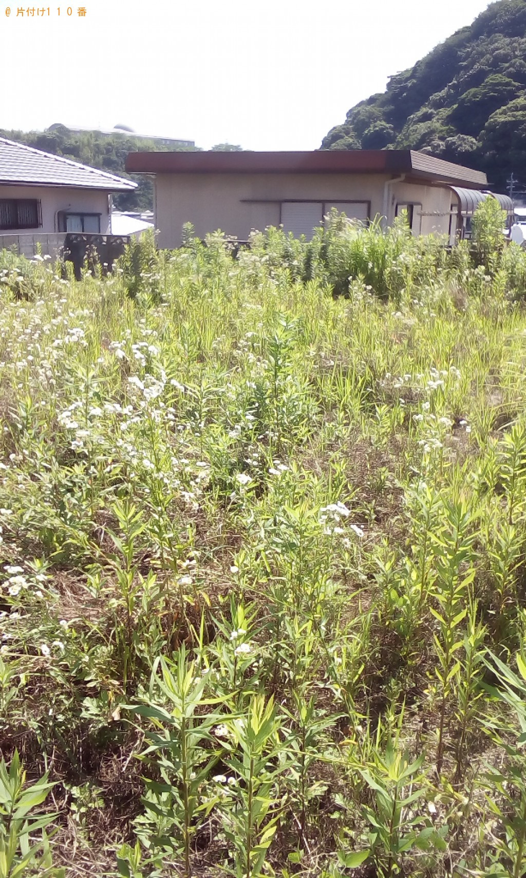 【長崎市】草刈り作業ご依頼　お客様の声